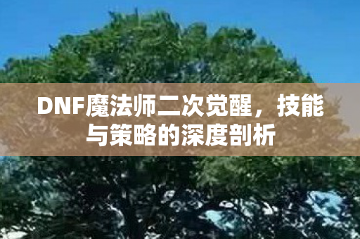 DNF魔法师二次觉醒图片