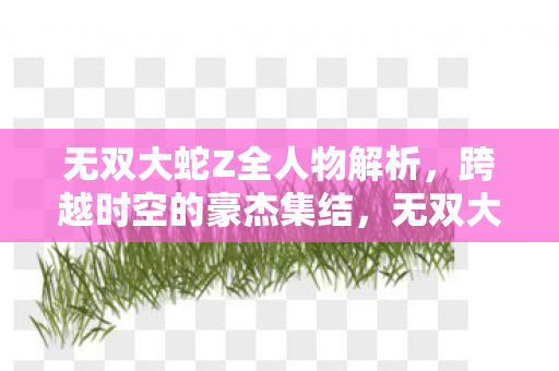 无双大蛇Z全人物解析图片