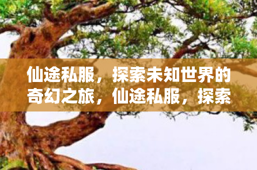 探索未知世界的奇幻冒险之旅图片