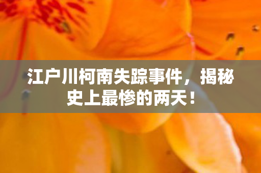 江户川柯南失踪事件图片