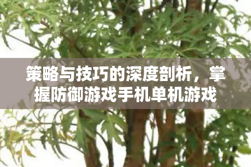 掌握防御游戏手机单机游戏图片