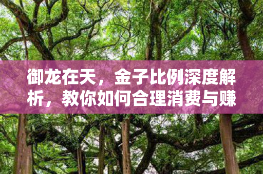 教你如何合理消费与赚取图片