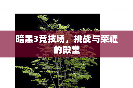 挑战与荣耀的殿堂图片