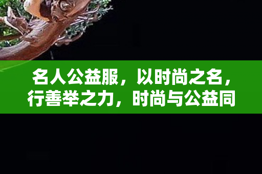 名人公益服展现善举之美图片