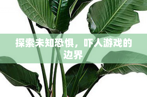 吓人游戏的边界图片
