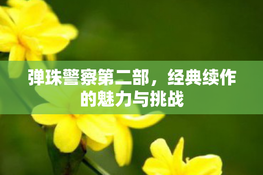 经典续作的魅力与挑战图片