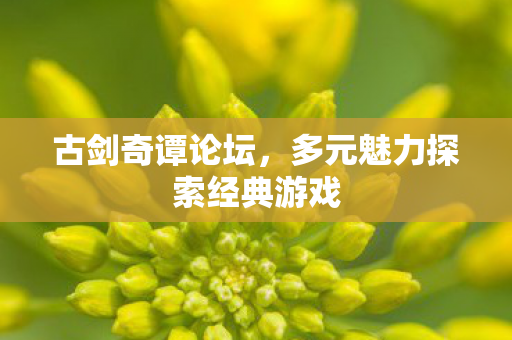 古剑奇谭论坛,多元魅力探索经典游戏 古剑奇谭论坛,多元魅力探索经典游戏