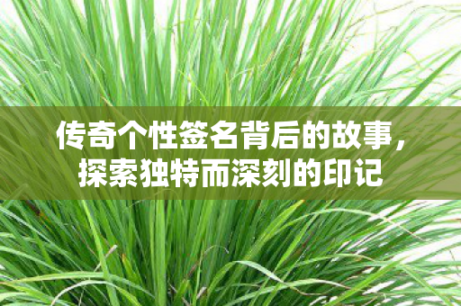 传奇个性签名背后的故事图片