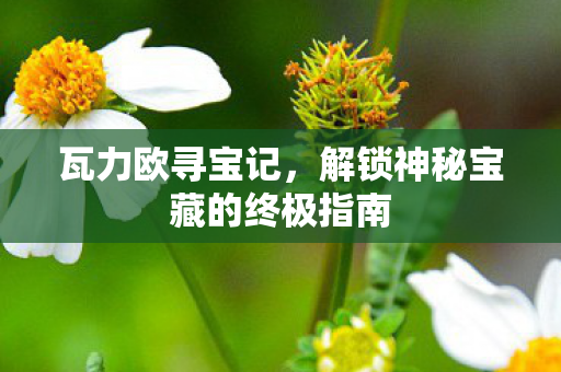 解锁神秘宝藏的终极指南图片