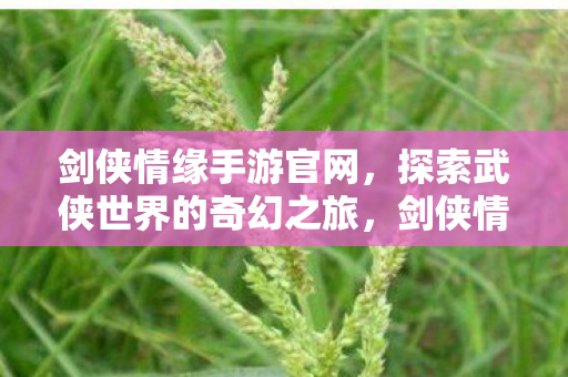 探索武侠世界的奇幻之旅图片