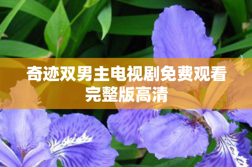 奇迹双男主电视剧免费观看完整版高清图片