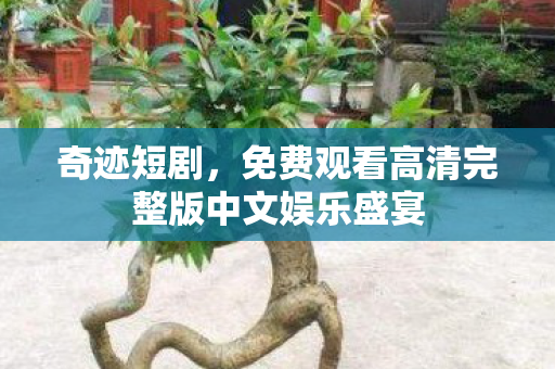 免费观看高清完整版中文娱乐盛宴图片