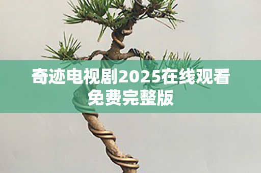 奇迹电视剧2025在线观看免费完整版图片