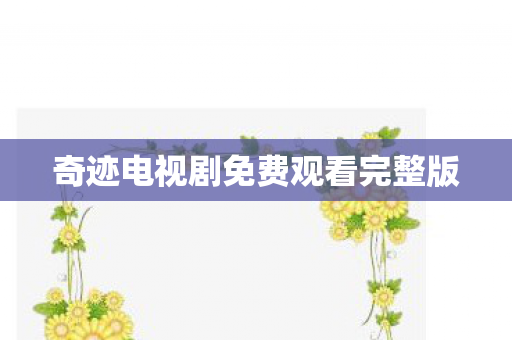 奇迹电视剧免费观看完整版图片