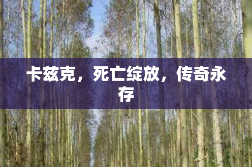 死亡绽放图片