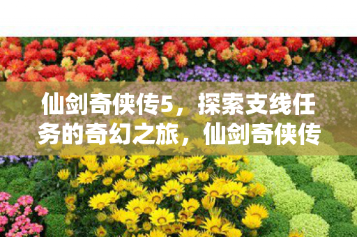 探索支线任务的奇幻之旅图片