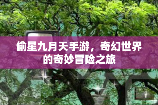 奇幻世界的奇妙冒险之旅图片