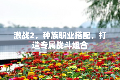 打造专属战斗组合图片