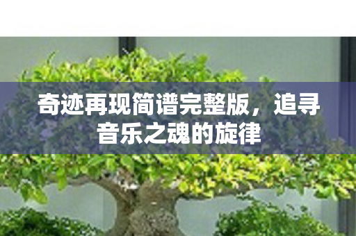 奇迹再现简谱完整版图片