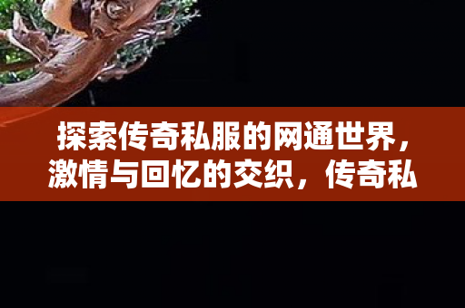 探索传奇私服的网通世界图片