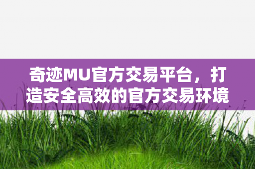 打造安全高效的官方交易环境图片
