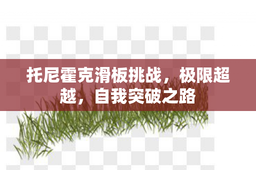 托尼霍克滑板挑战图片
