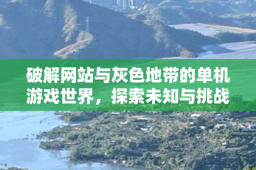 破解网站与灰色地带的单机游戏世界图片