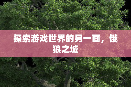 探索游戏世界的另一面,饿狼之城 探索游戏世界的另一面,饿狼之城