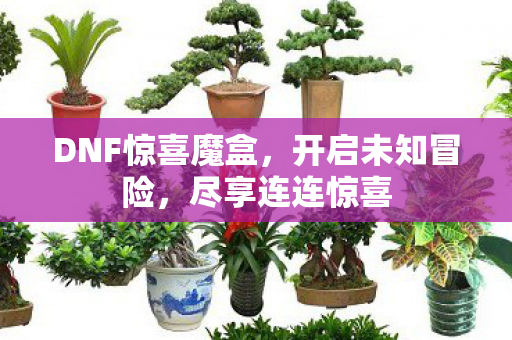 DNF惊喜魔盒图片