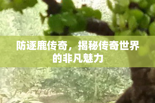 揭秘传奇世界的非凡魅力图片