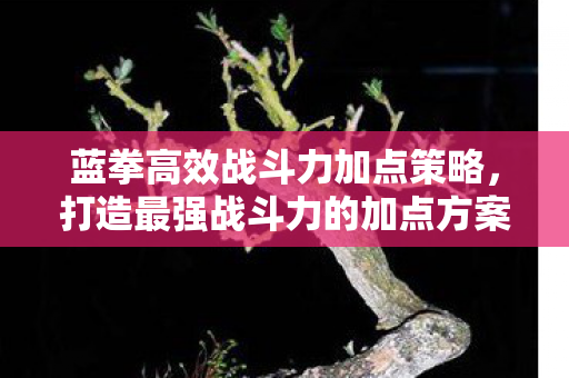 打造最强战斗力的加点方案图片