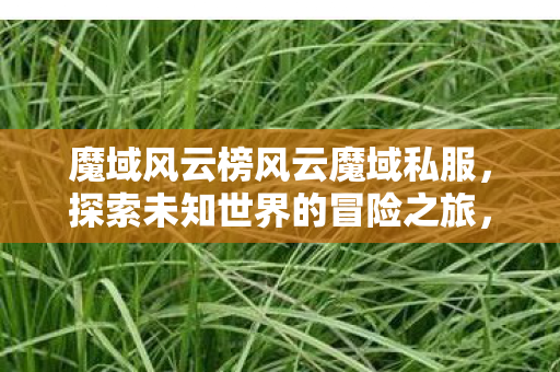魔域风云榜风云魔域私服图片