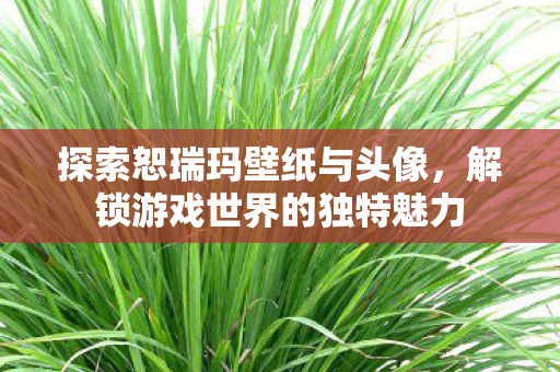 解锁游戏世界的独特魅力图片