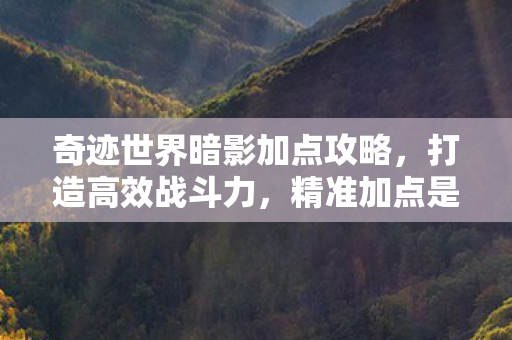 奇迹世界暗影加点攻略图片