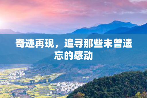 追寻那些未曾遗忘的感动图片