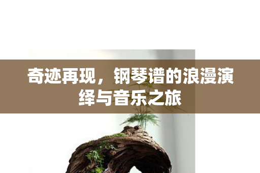 钢琴谱的浪漫演绎与音乐之旅图片