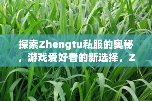 探索Zhengtu私服的奥秘图片