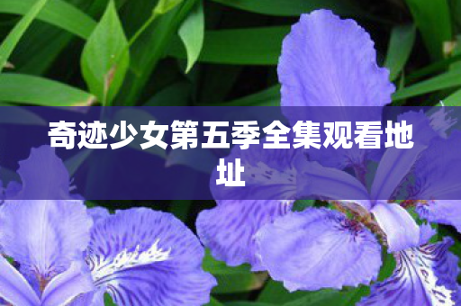 奇迹少女第五季全集观看地址图片