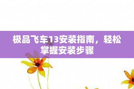极品飞车13安装指南图片