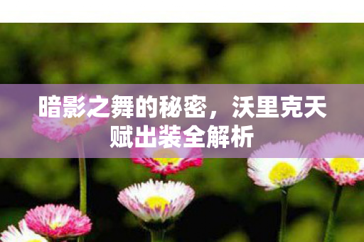 沃里克天赋出装全解析图片
