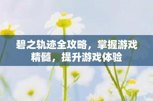 碧之轨迹全攻略图片