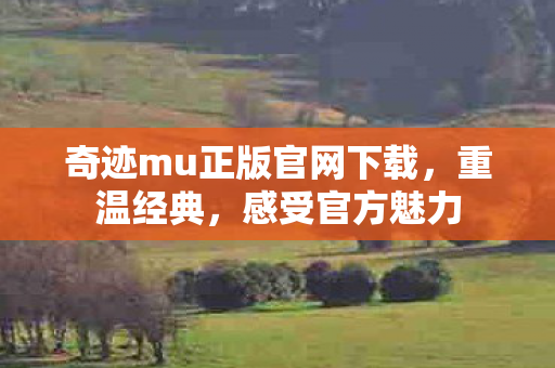 奇迹mu正版官网下载图片