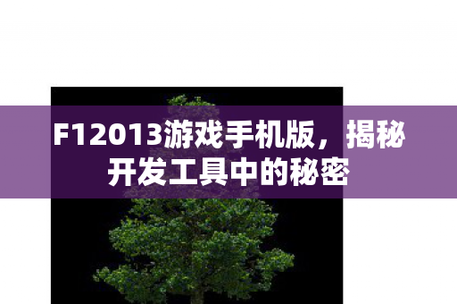 F12013游戏手机版图片