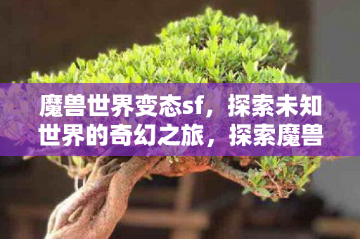 探索未知世界的奇幻之旅图片
