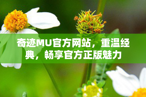 奇迹MU官方网站图片