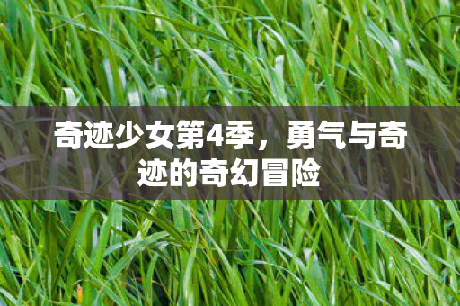 勇气与奇迹的奇幻冒险图片