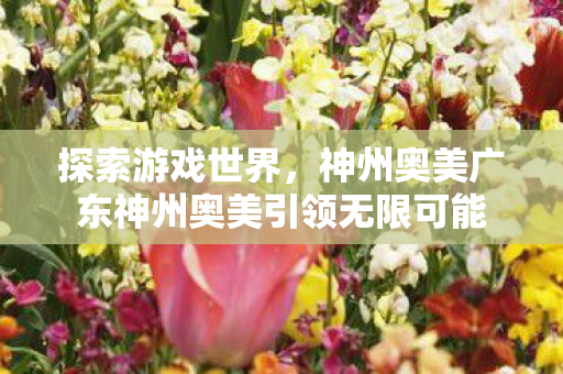 神州奥美广东神州奥美引领无限可能图片