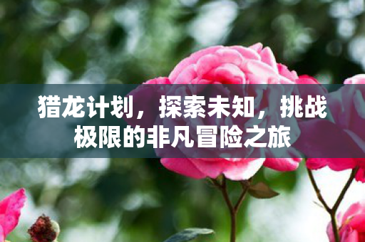 猎龙计划,探索未知,挑战极限的非凡冒险之旅 猎龙计划,探索未知,挑战极限的非凡冒险之旅
