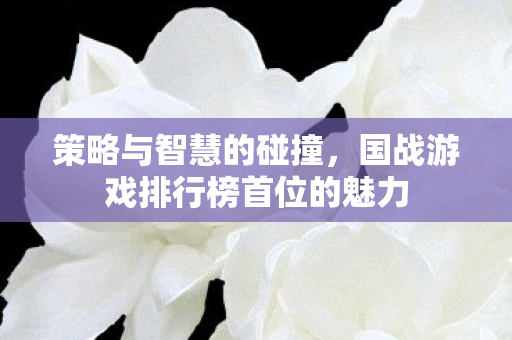 策略与智慧的碰撞,国战游戏排行榜首位的魅力 策略与智慧的碰撞,国战游戏排行榜首位的魅力