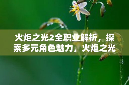 火炬之光2全职业深度解析图片